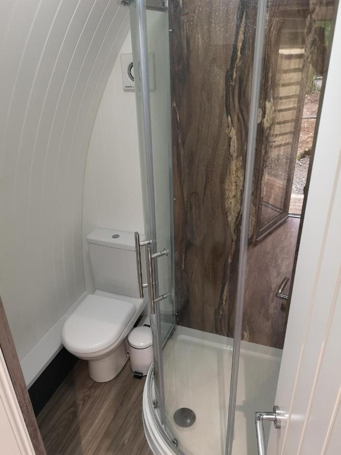 The Pod-Hot Tub-Woodland Lodges-St Clears-Carmarthen Exterior foto