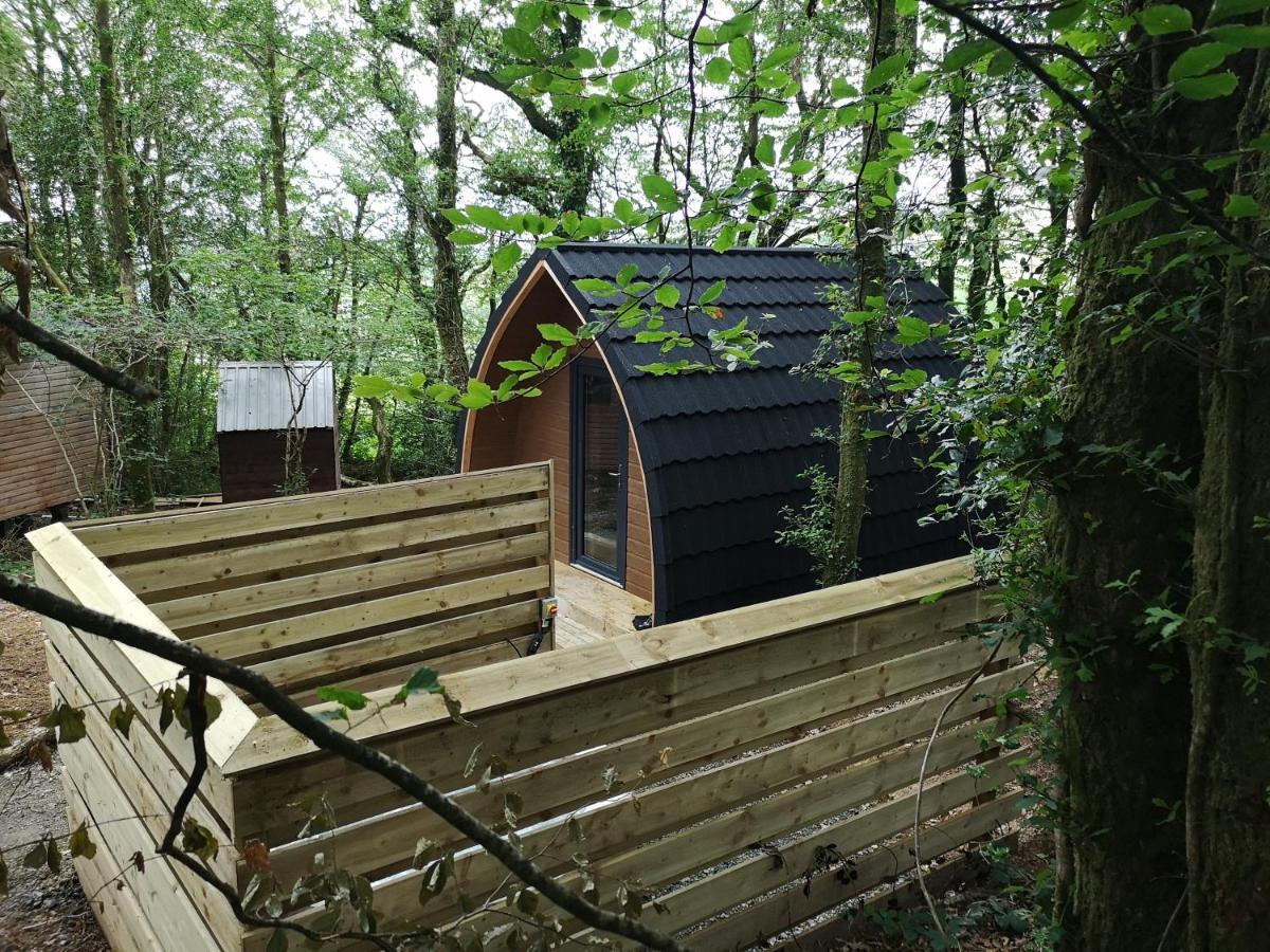 The Pod-Hot Tub-Woodland Lodges-St Clears-Carmarthen Exterior foto