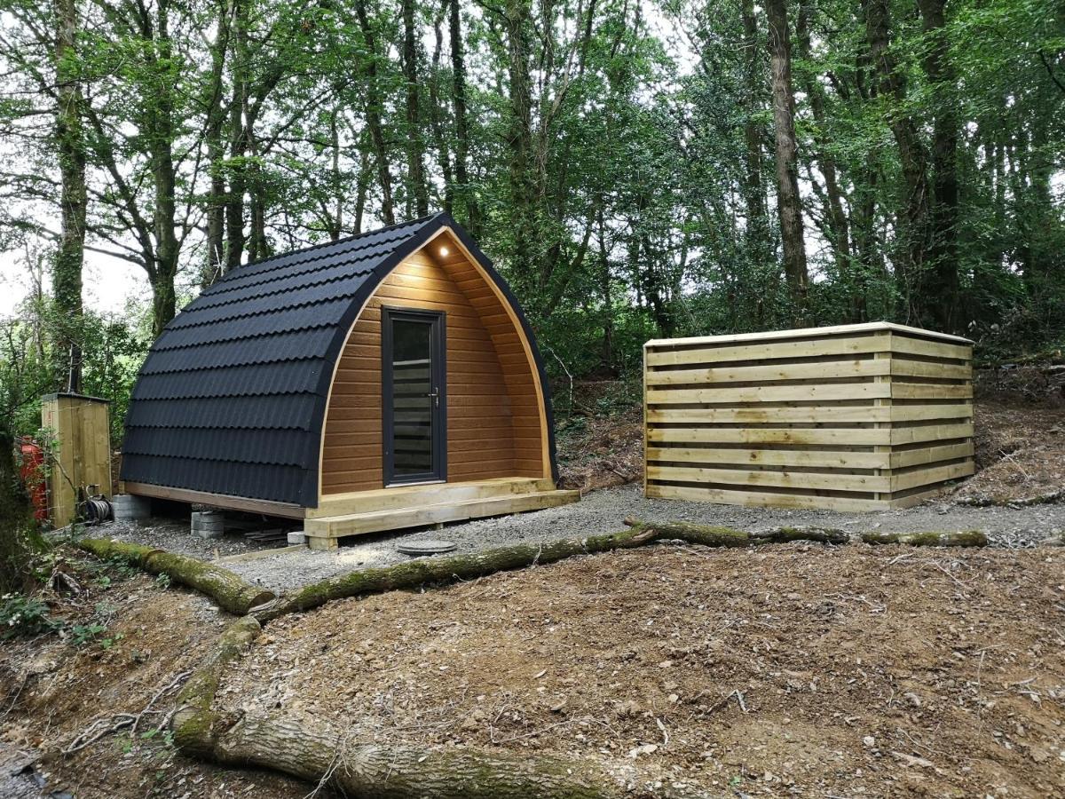 The Pod-Hot Tub-Woodland Lodges-St Clears-Carmarthen Exterior foto